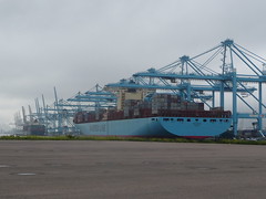 Ebba Maersk 2011
