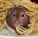J'ai Googlé "Manger du spaghetti avec les mains"