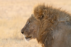 Namibia - October 2010