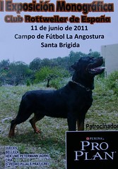 I Exposición Monográfica Club Rottweiler de España -  Santa Brigida -  Gran Canaria.