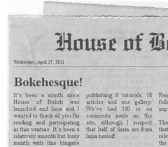 House of Bokeh