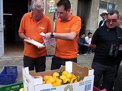 Rural Mallorca Excursion: Nofrills guides finding the perfect produce.