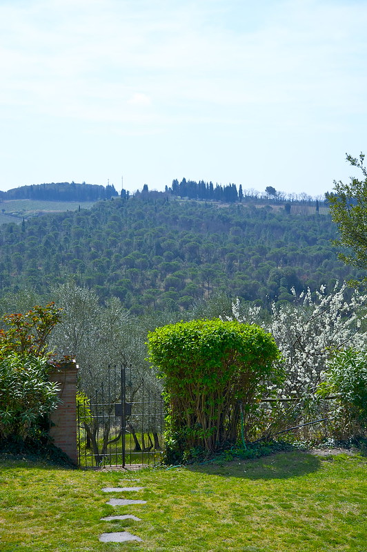 Весна в Тоскане. Обещанные фото _DSC2477