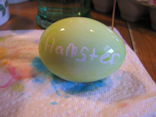 Hamster's First Egg
