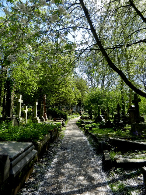 Highgate Cemetery_1