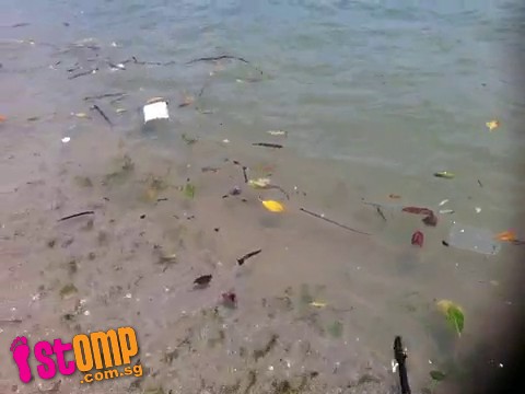 Beach-goer can't enjoy stroll along Changi shoreline as it's strewn with rubbish 