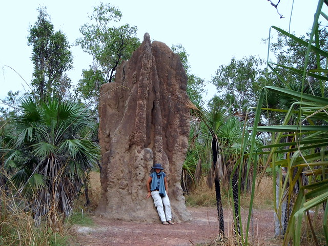 Magnetic and cathedral Termite Hills