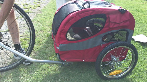 Charlie's Chariot first ride May 2012 (7)
