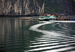 at Ha Long Bay by Zé Eduardo...