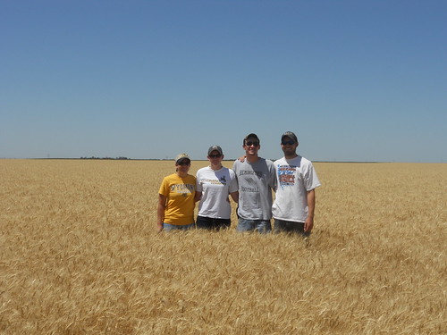 Ashley, Megan, Brandon and James in wheat field