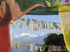 Travel - India - Himalayas - 2014