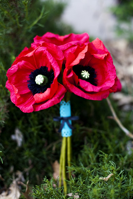oriental poppies in brightest red accented with a tiffany blue paper stem 