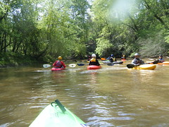 Kayaks on the Tyger