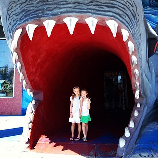 Every beach town has a jaws door to their souvenir store. #texas #shark
