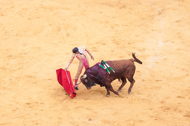 Bullfight-132.jpg