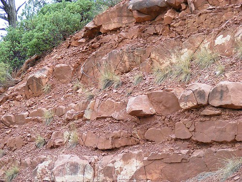 Red Rocks Of Sedona