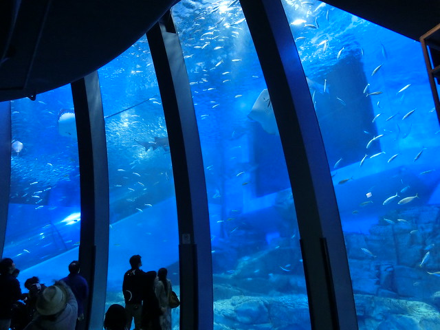 八景島シーパラダイス／Sea Pradise Aquarium Hakkeijima, Japan