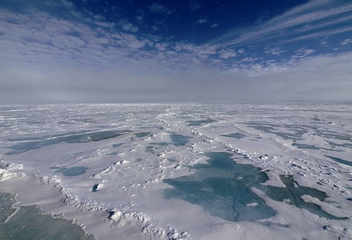 北極海洋正在酸化中(陳維倉攝)