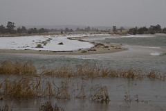 20101228 - Paines Creek Erosion