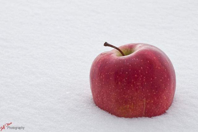 Apple in Snow