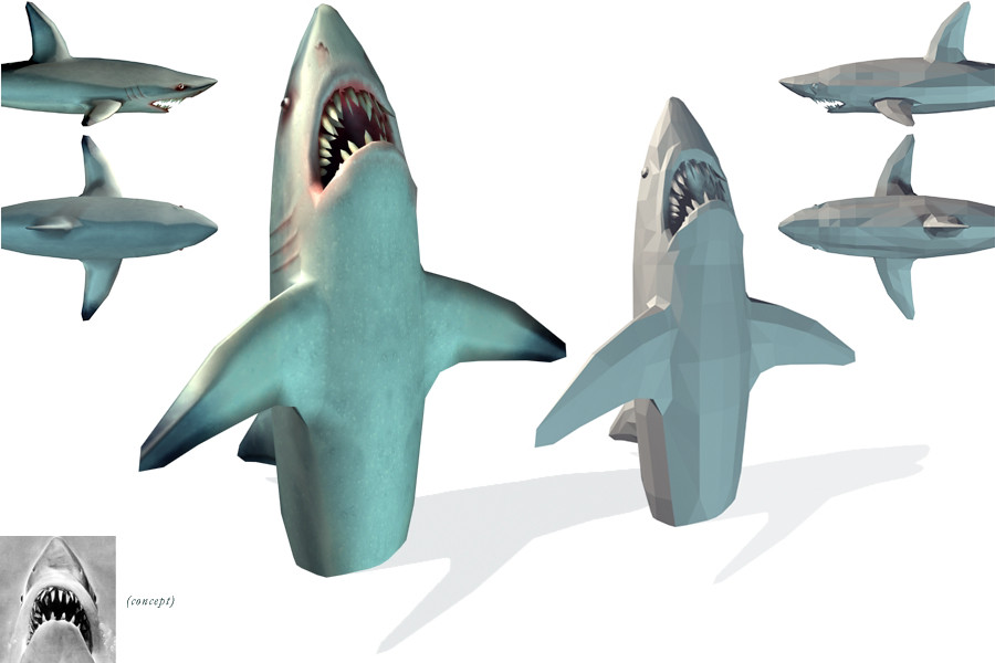 shark model