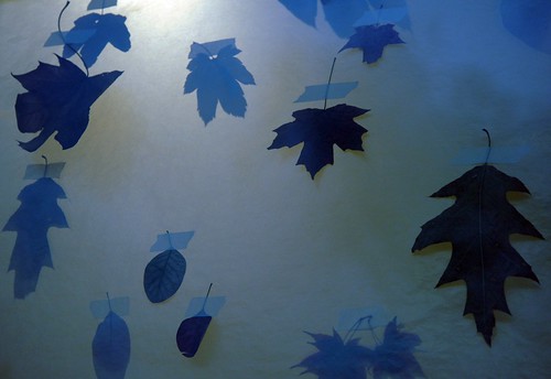 Leaves, transparent paper background, anthropologie, Seattle by Wonderlane