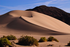 Deserts and Dunes