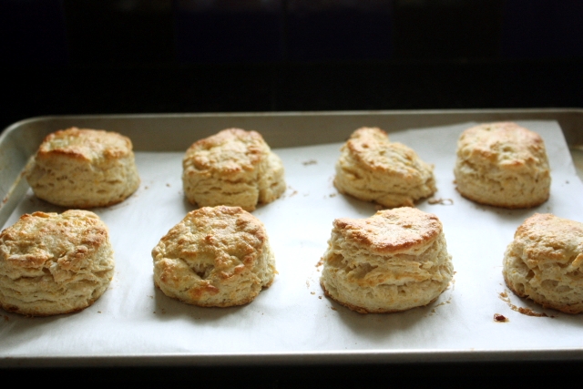Scones fresh from the oven