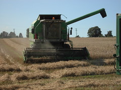 Harvest 2006/2007/2008