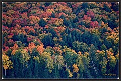 Autumn 2016 at Algonquin Provincial Park Ontario 