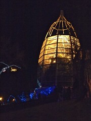 Christmas Lights at the Zoo