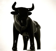 Barcino Bull