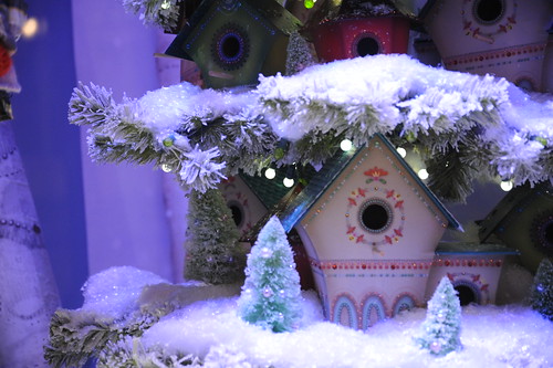 Christmas bird houses in the snow and tree, lights, Seattle, Washington, USA by Wonderlane