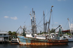 Florida Boats