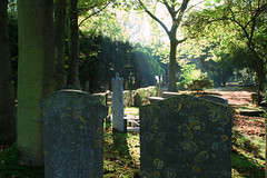 Jaffa Cemetery - Delft
