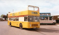 England Isle of Wight bus & coaches