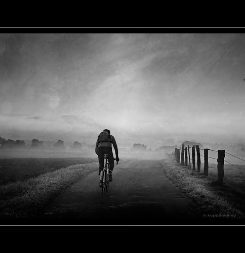 Cyclist in Morning Mist