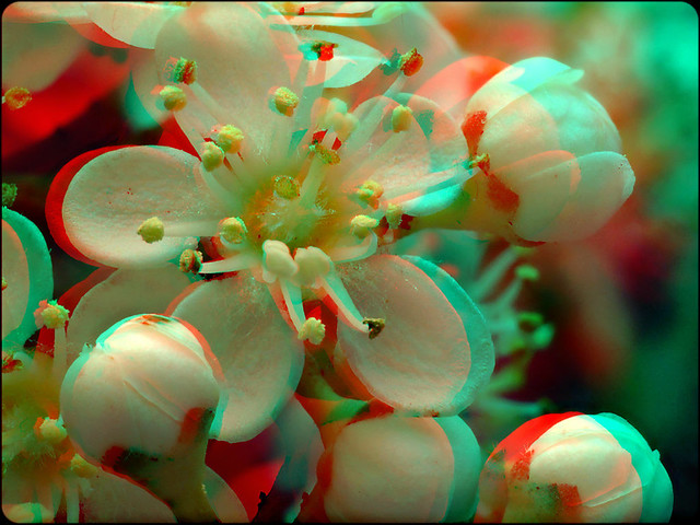 Use red cyan anaglyph goggles to see in 3D