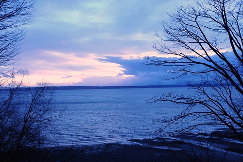 Clouds over the blue waters of Puget Sound, trees, birds, Carkeek Park, Seattle, Washington, USA by Wonderlane