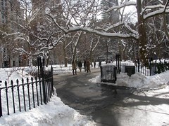 Snowy Madison Square Park I by edenpictures, on Flickr