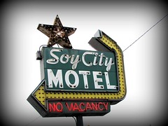 Vintage motels/hotels and or signs 