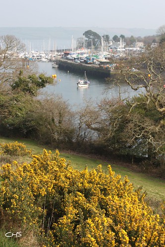 Mylor Creek and Harbour by Stocker Images