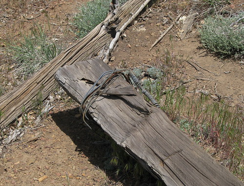 A Remnant from around 1910 - Telegraph Wire Closeup On The Gene Marshall National Recreation Trail, Sespe Wilderness in Los Padres National Forest