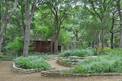 Zilker Botanic Gardens, Austin, TX
