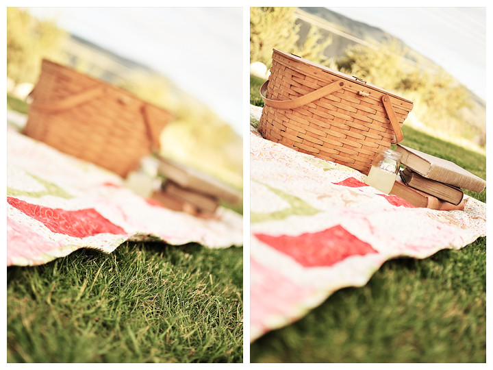 Picnic in the Park Diptych