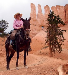 Bryce Canyon Mule Ride