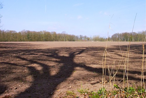 2007: landgoed Nemelaer