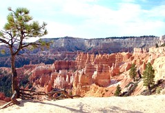Bryce Canyon N.P. (3)