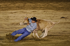 Rodeo - Cowtown, NJ