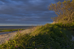 20110602 - Sunset Light at Robbins Hill Beach